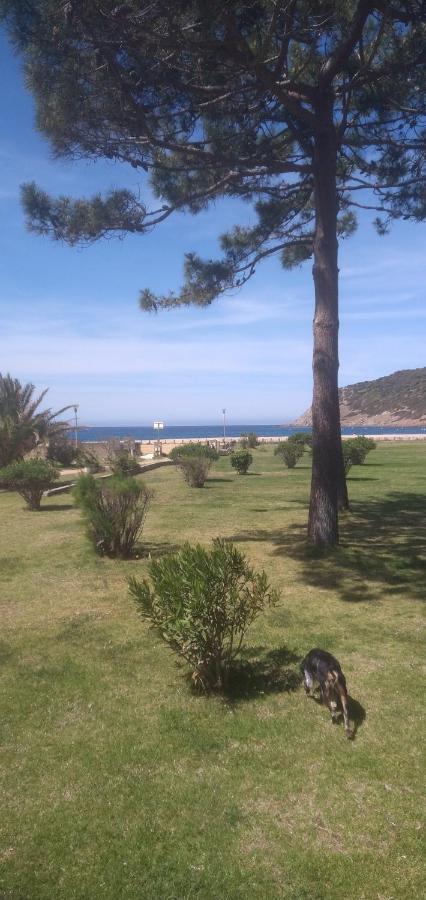 Maison De 4 Chambres De Front De Mer Corse-Du-Sud Appietto ภายนอก รูปภาพ